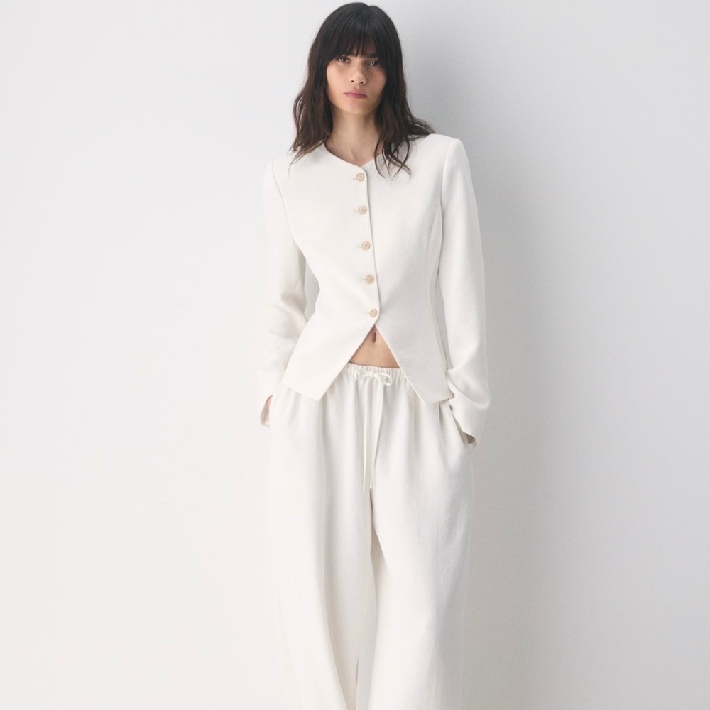 EUC ARITZIA x WILFRED - Regal Blazer in Light Birch, 2
